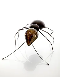 Formica